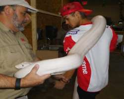 The star shared a photograph of him with a huge python on his Instagram.